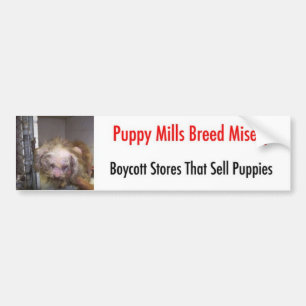 Autocollant De Voiture Bumpersticker