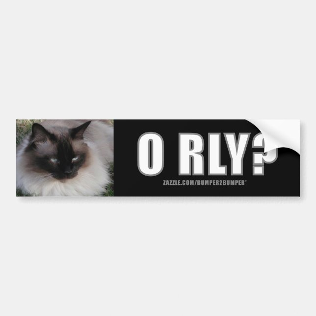 Autocollant De Voiture Bumpersticker de LOLCat 4 (Devant)