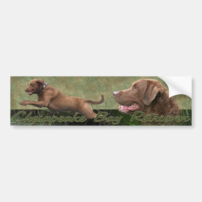 Autocollant De Voiture Bumpersticker de Retriever de la Baie de (Devant)