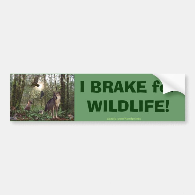 Autocollant De Voiture Cadeaux d'animaux forestiers (Devant)
