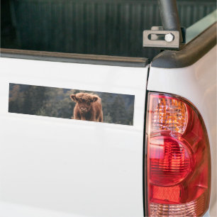 Autocollant De Voiture Campagne d'herbe d'automne de la vache de haute-te