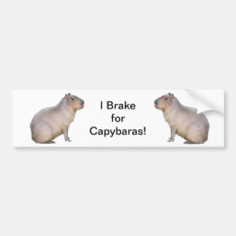 Autocollant De Voiture Capybara