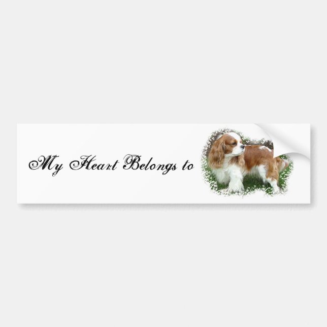 Autocollant De Voiture Cavalier King Charles Spaniel (Devant)