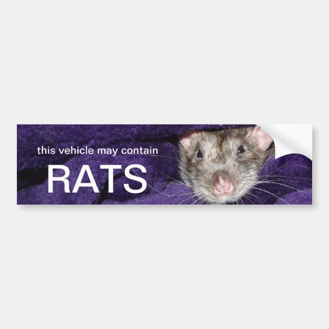 Autocollant De Voiture ce véhicule peut contenir des rats (Devant)