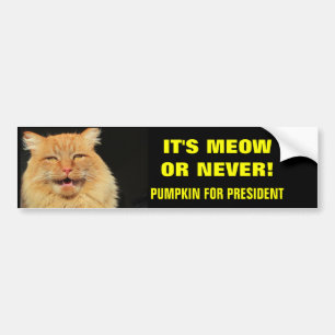 Autocollant De Voiture C'est Meow ou Never ! Citrouille du Président