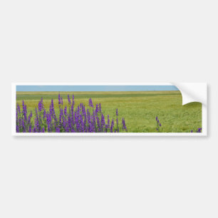 Autocollant De Voiture Champs de blé avec des fleurs sauvages violettes