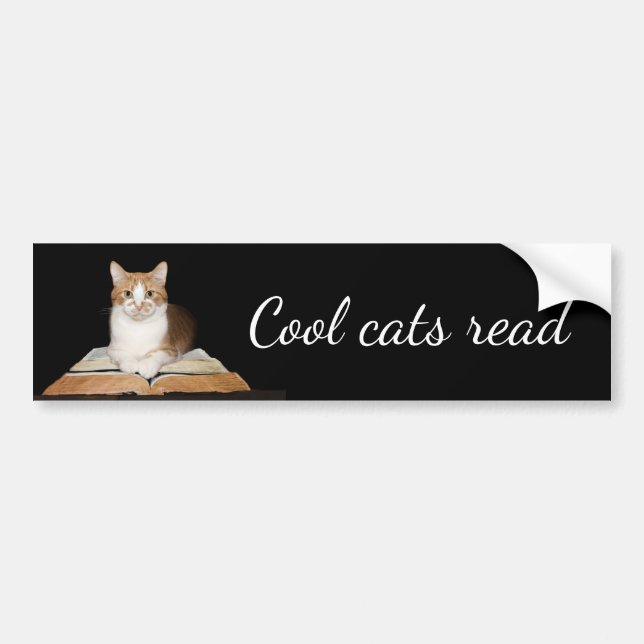 Autocollant De Voiture Chat chaton littéraire instruit (Devant)