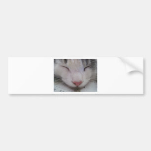 Autocollant De Voiture Chat couché