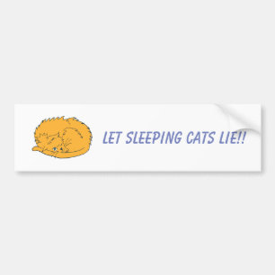 Autocollant De Voiture Chat Ginger laisser dormir les chats