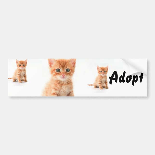 Autocollant De Voiture Chat Kitten Chien Adopter le pare-chocs Sticker (Devant)