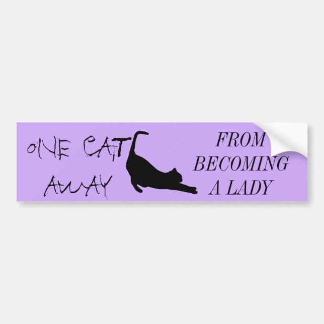 AUTOCOLLANT DE VOITURE CHAT LADY (Devant)