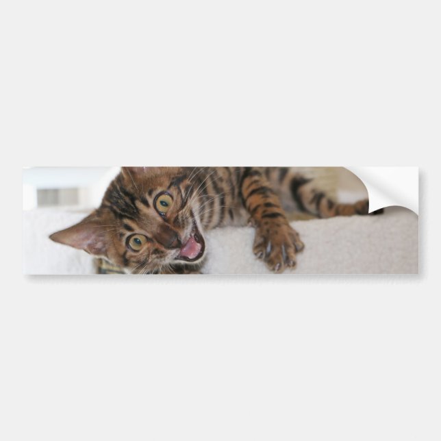 AUTOCOLLANT DE VOITURE CHATON RIANT (Devant)