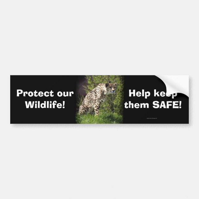 Autocollant De Voiture Cheetah Wild Chat Animal-Lover Bumpersticker (Devant)