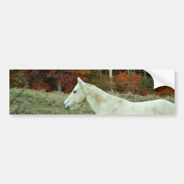 Autocollant De Voiture Cheval à la crème blanche dans un champ d'automne (Devant)