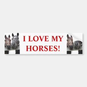Autocollant De Voiture Cheval-Amour