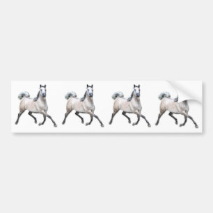 Autocollant De Voiture Cheval Arabe - Alia