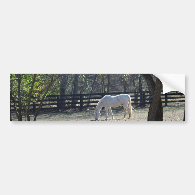 Autocollant De Voiture Cheval blanc dans les arbres (Devant)