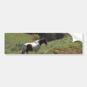 Autocollant De Voiture Cheval Brown et blanc à l'étang d'automne