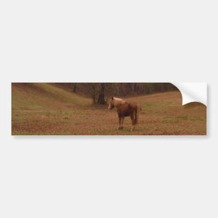 Autocollant De Voiture Cheval Brown et blond dans un champ