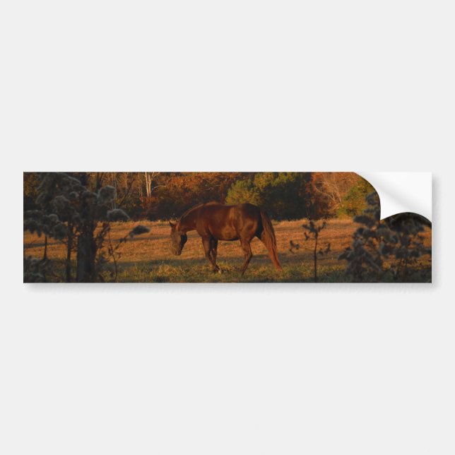 Autocollant De Voiture Cheval Brown rouge, bois d'automne. (Devant)