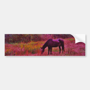 Autocollant De Voiture Cheval dans un champ de couleur Kaleidoscope