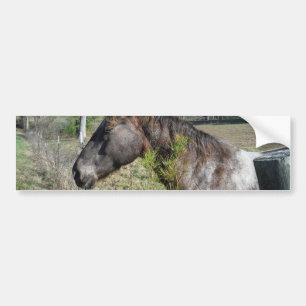 Autocollant De Voiture Cheval de couleur Coco et Crème