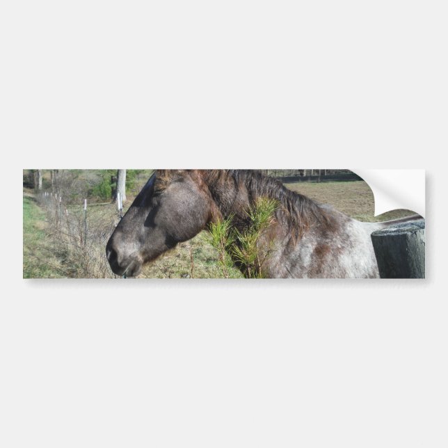 Autocollant De Voiture Cheval de couleur Coco et Crème (Devant)