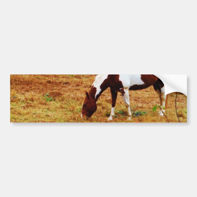 Autocollant De Voiture Cheval de Noël (Devant)