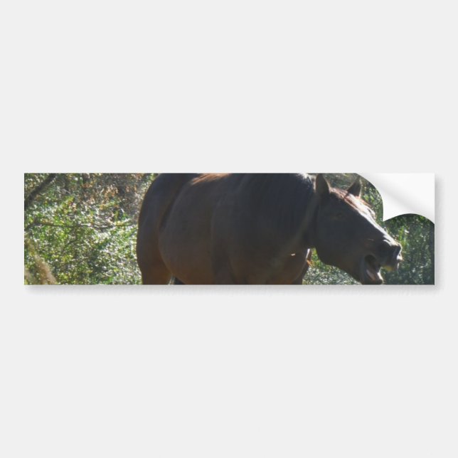Autocollant De Voiture Cheval en automne (Devant)
