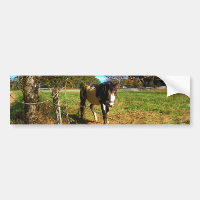 Autocollant De Voiture Cheval Peint, (Devant)