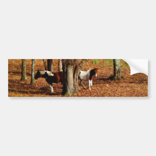 Autocollant De Voiture Chevaux jumeaux Brown et blancs