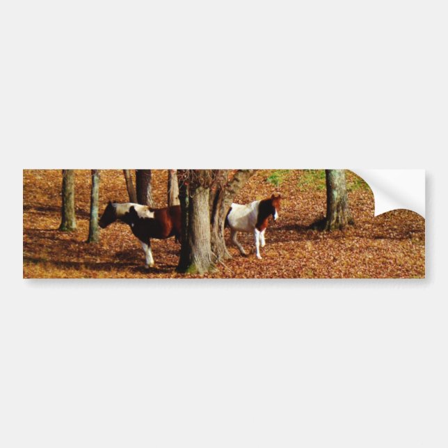 Autocollant De Voiture Chevaux jumeaux Brown et blancs (Devant)