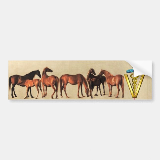 AUTOCOLLANT DE VOITURE CHEVAUX/MARES ET FOALS SYMBOLE VÉTÉRINAIRE CADUCE (Devant)