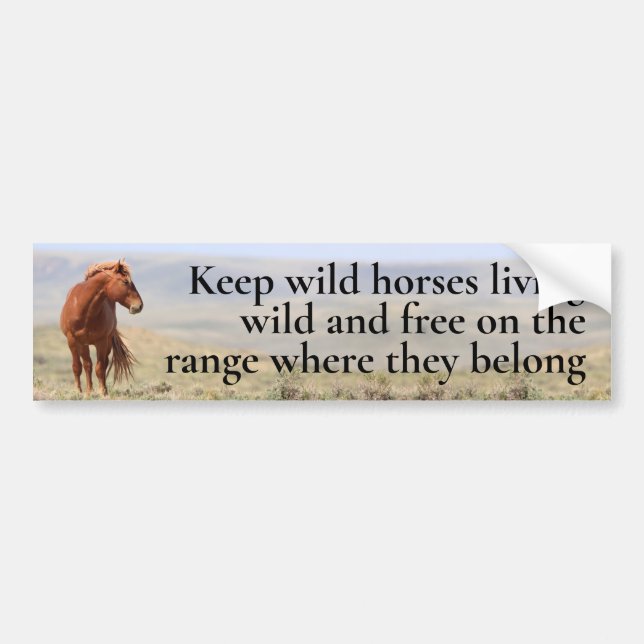 Autocollant De Voiture Chevaux sauvages (Devant)