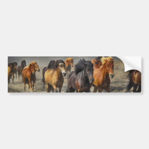 Autocollant De Voiture Chevaux sauvages