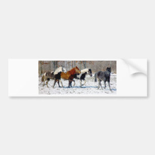 Autocollant De Voiture Chevaux sauvages