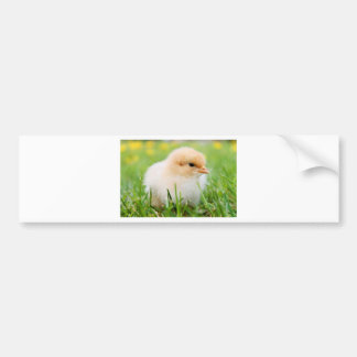 Autocollant De Voiture Chick