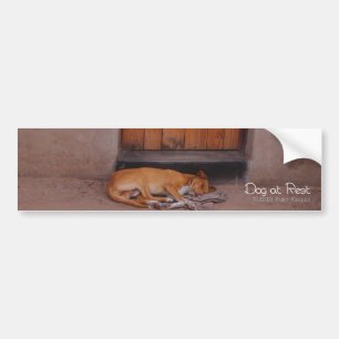Autocollant De Voiture Chien au repos