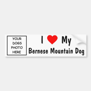 Autocollant De Voiture Chien de montagne de Bernese