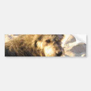 Autocollant De Voiture Chien de plage thaïlandais