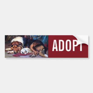 Autocollant De Voiture Chien orphelin avec Collie Art Vintage