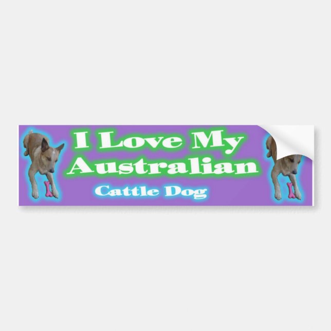 Autocollant De Voiture Chiens australiens de bétail. A obtenu de les (Devant)