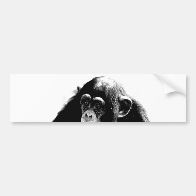 Autocollant De Voiture Chimpanzé noir blanc (Devant)