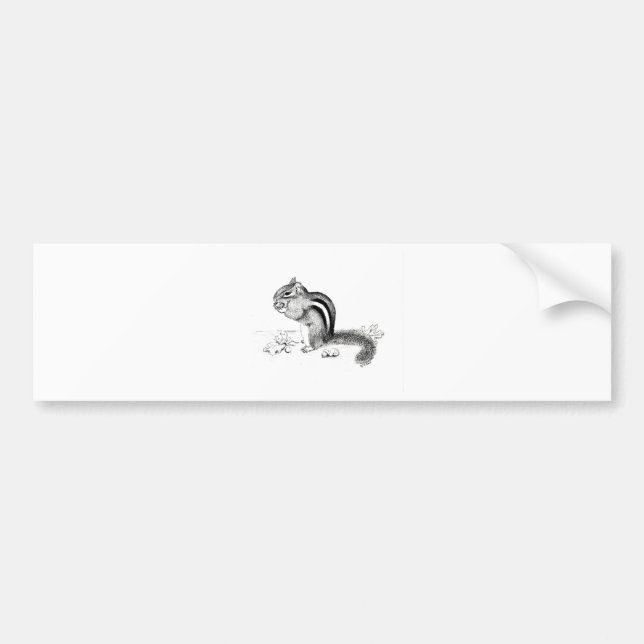 Autocollant De Voiture Chipmunk (Devant)