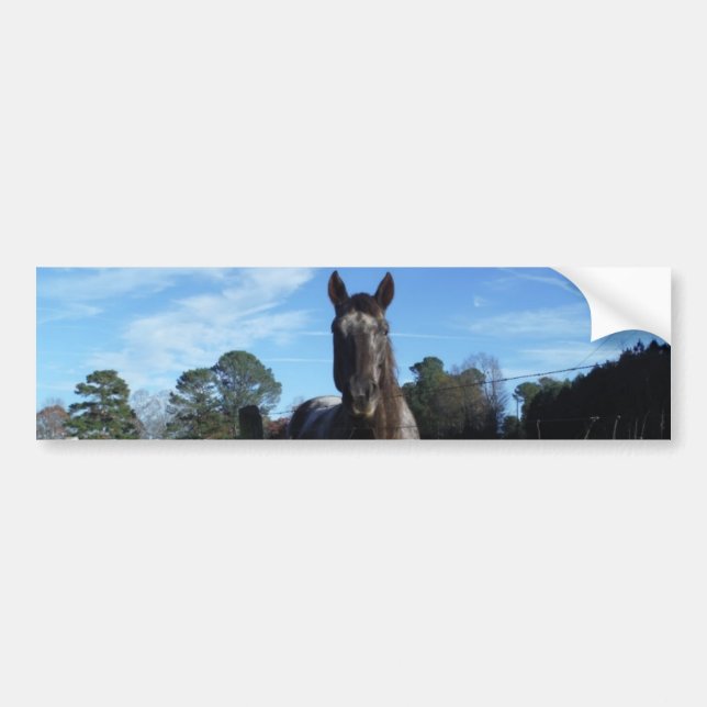 Autocollant De Voiture Chocolat au lait Cheval Brown en bleu (Devant)