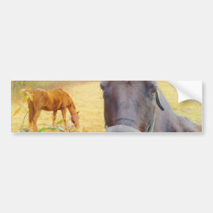 Autocollant De Voiture Chocolat cheval Brown