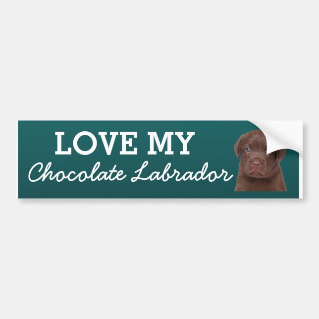 Autocollant De Voiture Chocolat Labrador (Devant)
