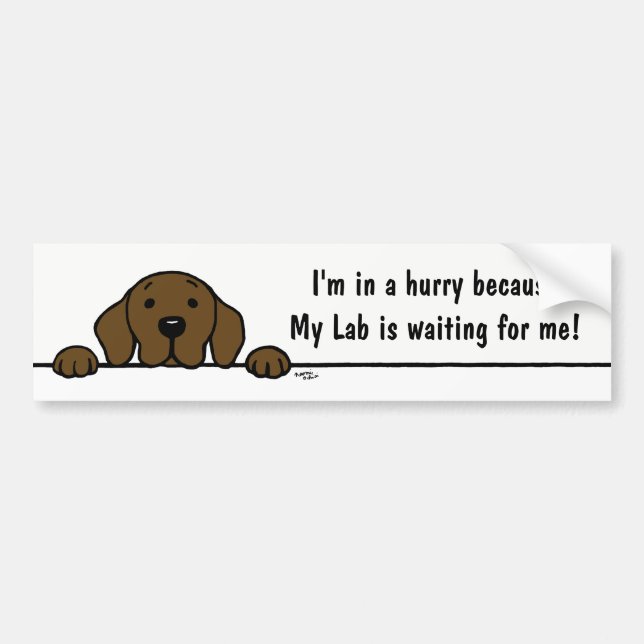 Autocollant De Voiture Chocolat Labrador vous observant adhésif pour (Devant)