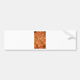 AUTOCOLLANT DE VOITURE CITROUILLES !