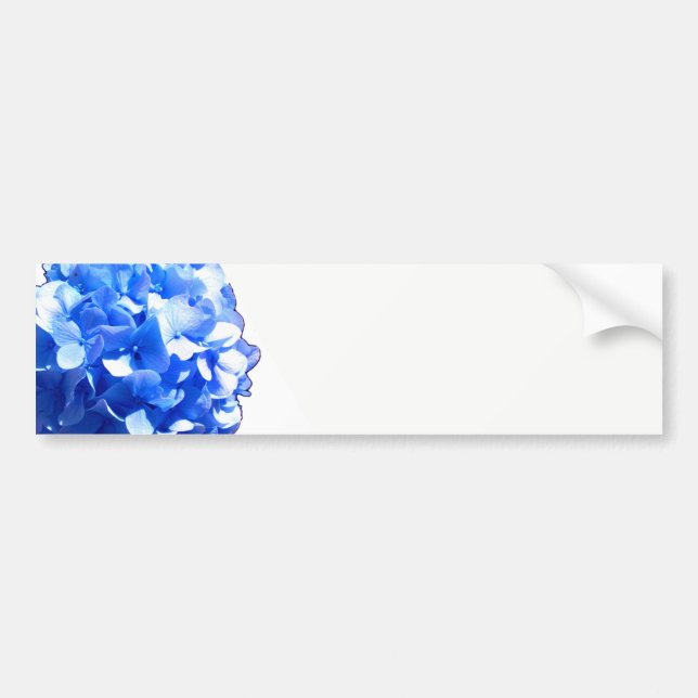 Autocollant De Voiture Cobalt bleu floral élégant bleu hydrangées (Devant)